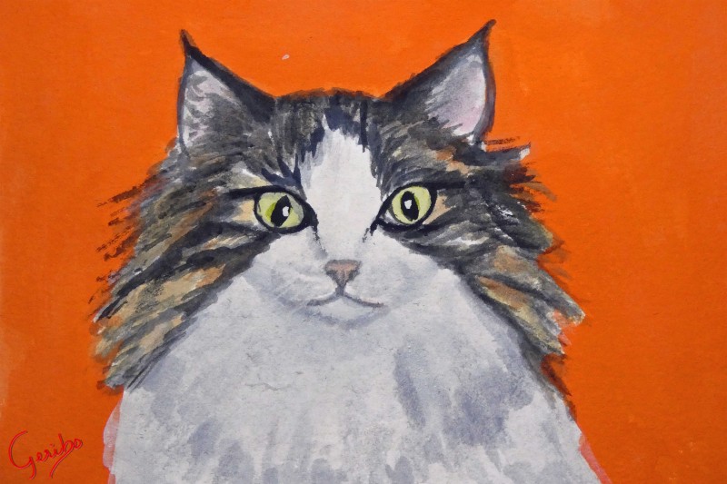 norwegian forest cat notecard by dj geribo at help shelter pets detail image