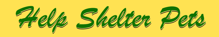 Help Shelter Pets Help Shelter Pets