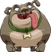 Fat Bull dog cartoon