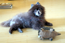 Meko with her favorite toy, Grunty