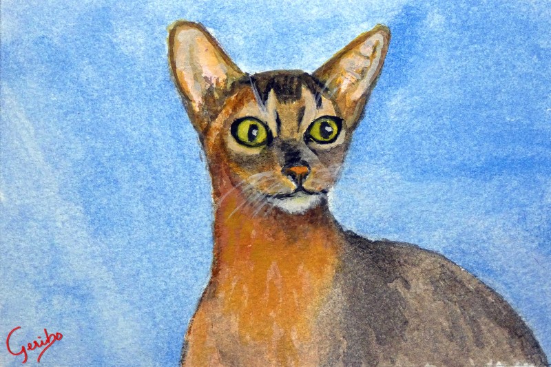 abyssinian-print-web.jpg