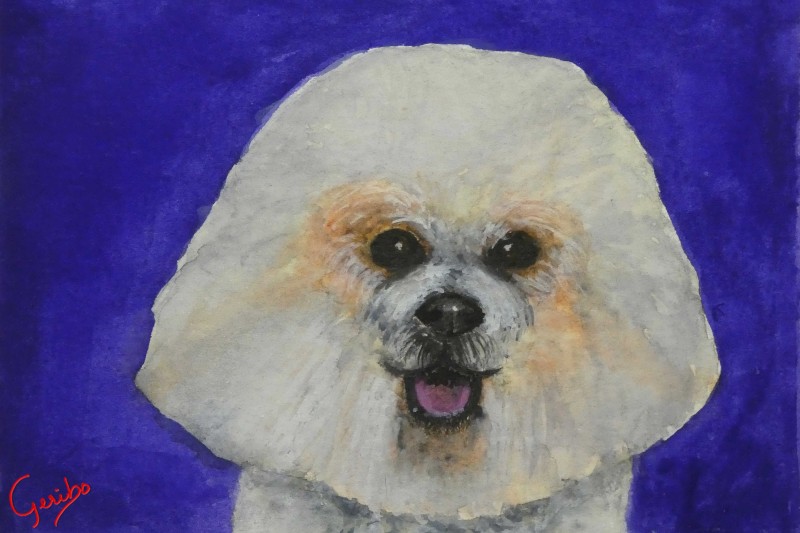 bichon-frise-print-web.jpg