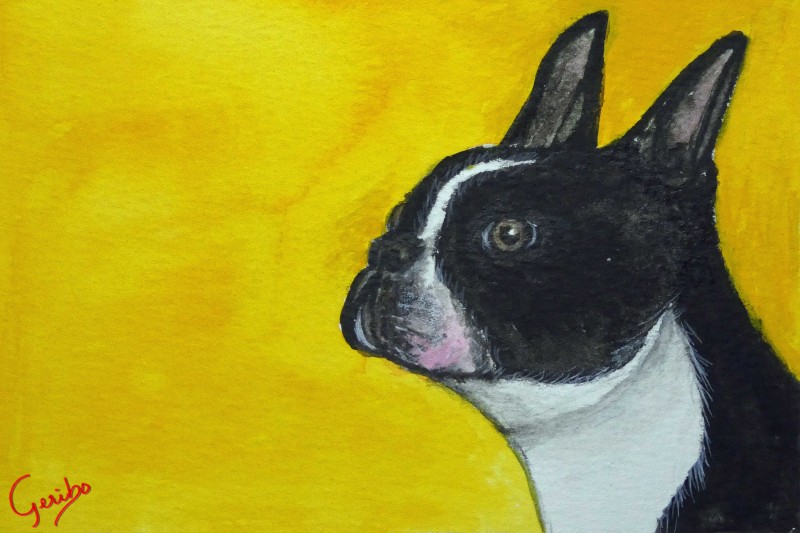 boston-terrier-print-web.jpg