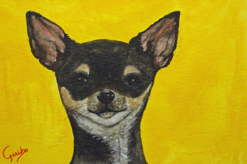chihuahua-print-web.jpg
