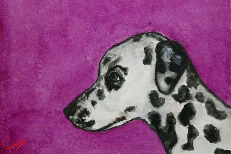dalmation-print-web.jpg
