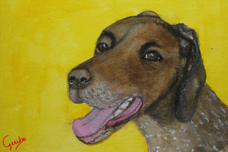 german-shorhaired-pointer-print-web.jpg