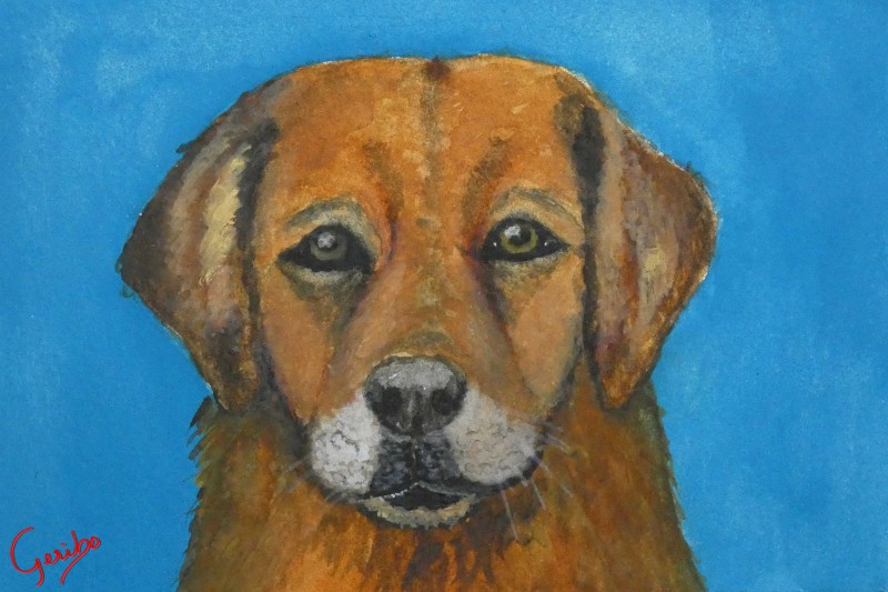 golden-retriever-red-print-web.jpg