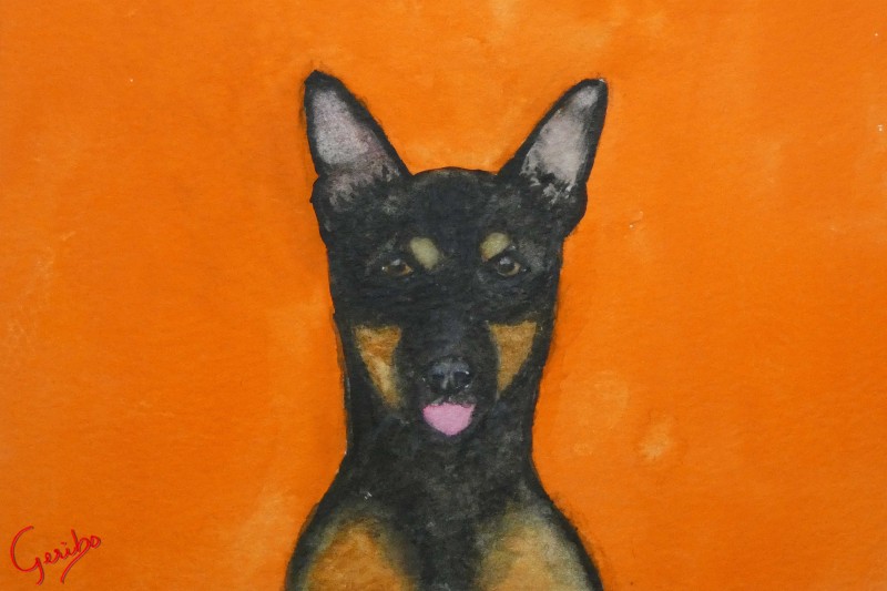 miniature-pinscher-print-web.jpg