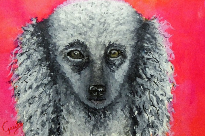 miniature-poodle-print-web.jpg