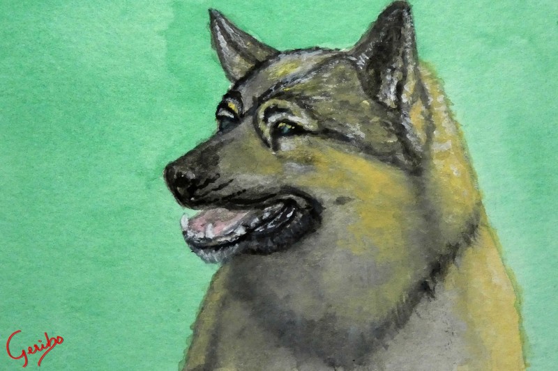 norwegian-elkhound-print-web.jpg