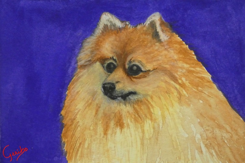 pomeranian-print-web.jpg