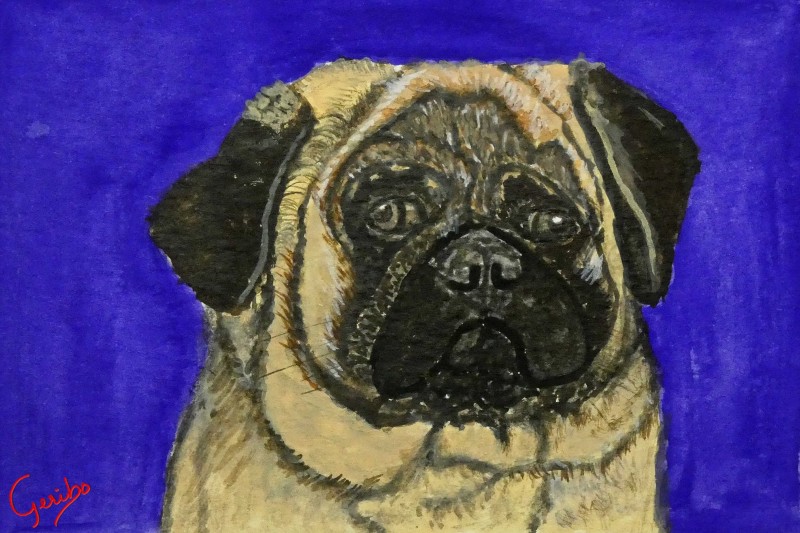 pug-print-web.jpg