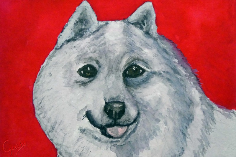 samoyed-print-web.jpg