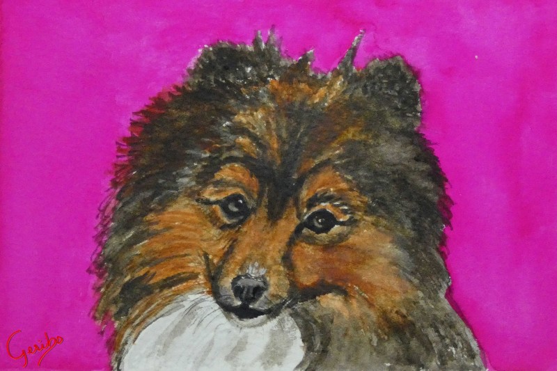 shetland-sheepdog-print-web.jpg