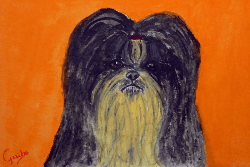 shih-tzu-print-web.jpg