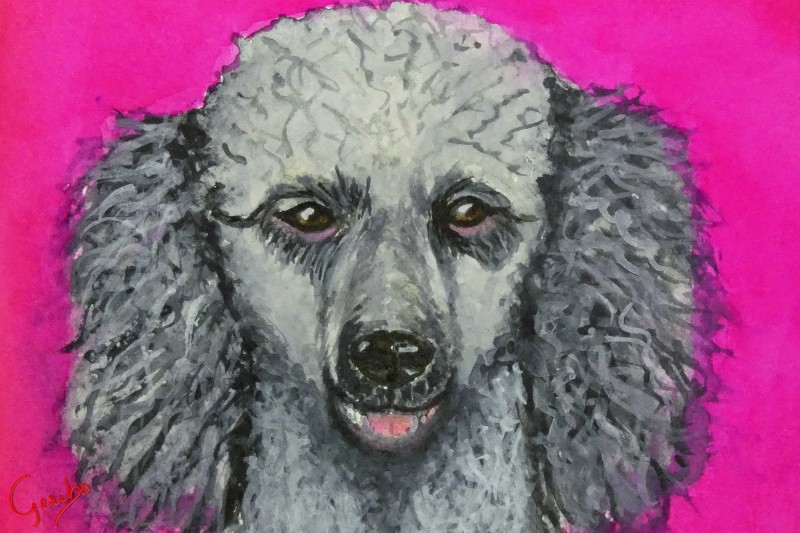 standard-poodle-print-web.jpg