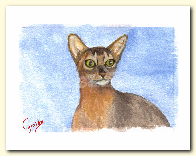 Abyssinian Notecard Detail