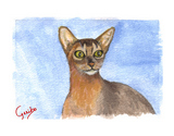 Abyssinian Cat Notecards