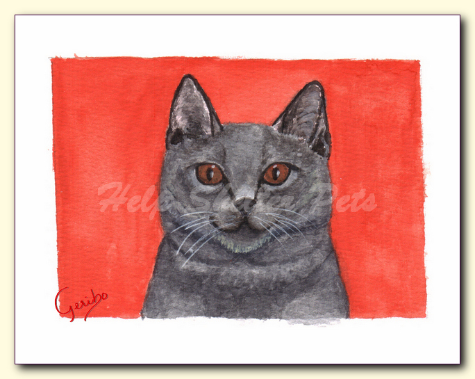 Chartreux Notecard Detail
