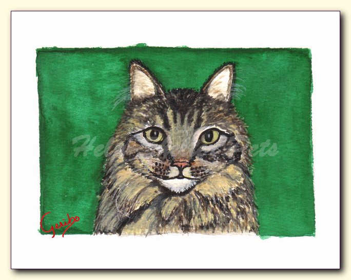 Maine Coon Notecard Detail