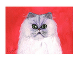 Persian Cat Notecards