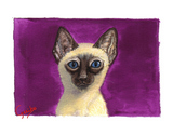 Siamese Cat Notecards