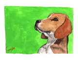 Beagle Notecards