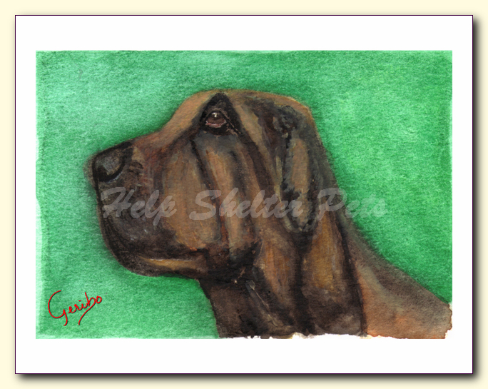 Bloodhound Notecard Detail