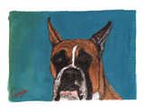 Boxer Notecards