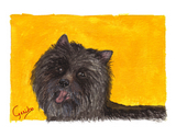 Cairn Terrier (dark coat) Notecards