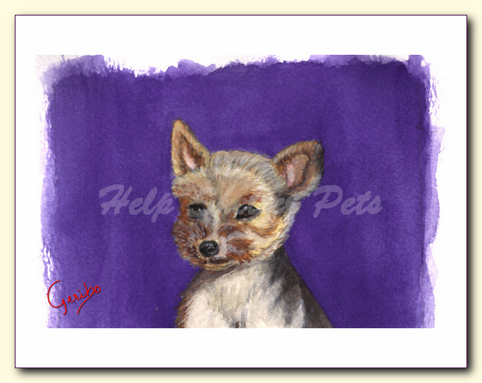 yorkshire-terrier-young-notecard-by-dj-geribo-at-help-shelter-pets-detail-image