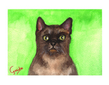 burmese-cat-notecard-by-dj-geribo-at-help-shelter-pets-thumbnail-image.jpg