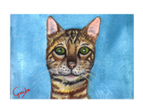 bengal-cat-notecard-by-dj-geribo-at-help-shelter-pets-thumbnail-image.jpg