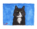 black-and-white-cat-notecard-by-dj-geribo-at-help-shelter-pets-thumbnail-image.jpg