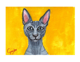 sphynx-cat-notecard-by-dj-geribo-at-help-shelter-pets-thumbnail-image.jpg