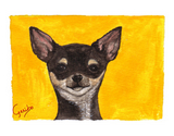 chihuahua-notecard-by-dj-geribo-at-help-shelter-pets-thumbnail-image.jpg