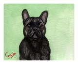 french-bulldog-notecard-by-dj-geribo-at-help-shelter-pets-thumbnail-image