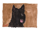 scottish-terrier-notecard-by-dj-geribo-at-help-shelter-pets-thumbnail-image.jpg