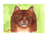 orange tabby cat notecard by dj geribo at help shelter pets thumbnail image
