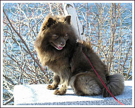 Kameko sitting on a park bench